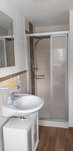 a bathroom with a white sink and a shower at Pension Berghof in Breitenbrunn