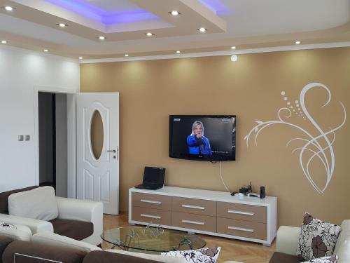Una televisión o centro de entretenimiento en SNEZANA APARTMENT