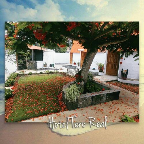 Zahrada ubytování HOSTAL TERO REAL