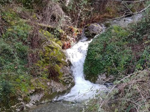 Φυσικό τοπίο κοντά σε αυτός ο ξενώνας