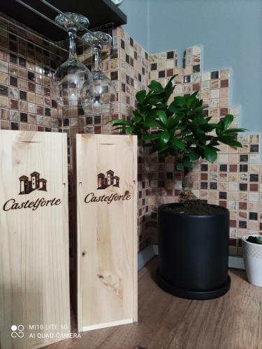 two cardboard boxes sitting on a table with a potted plant at Koa Studio 1 in Korçë
