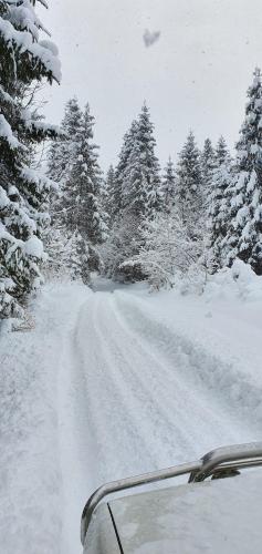 a car driving down a snow covered road with trees at Domek Nad Czorsztynem in Mizerna