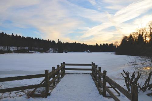 a fence in a snow covered field with a gate at Ferienhaus Sequoia Hahnenklee in Hahnenklee-Bockswiese