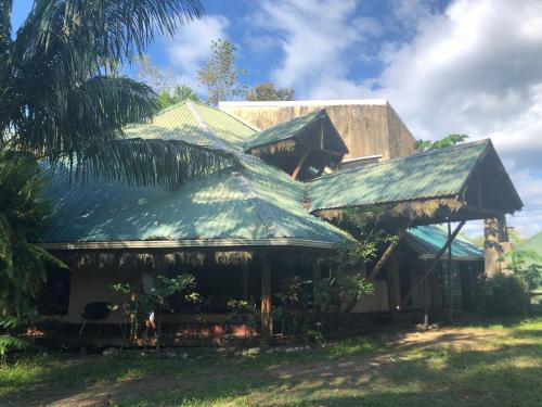 a house with a green roof and a palm tree at Chosa Manglar Suites & Cabins in Puerto Jiménez
