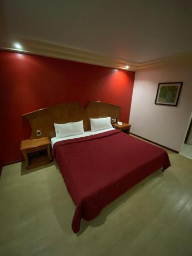 a red bedroom with a bed with a red wall at HOTEL MARIA RICO in Mexico City