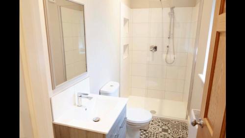 a bathroom with a shower and a sink and a toilet at Lavender Cottage - 2 Bedroom Home in Newbridge