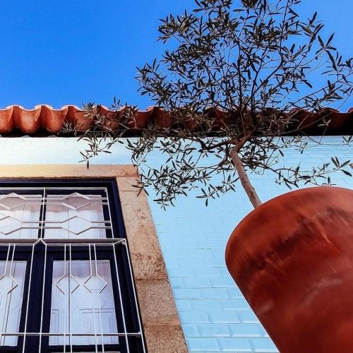 Το κτήριο όπου στεγάζεται  η παραθεριστική κατοικία