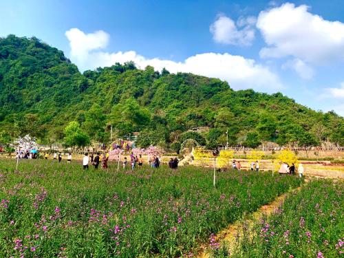 a group of people in a field in front of a mountain at Tuan Nam Homestay in Ninh Binh