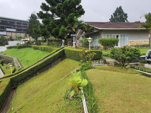 Zahrada ubytování Hotel Ariandri Puncak