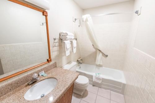 uma casa de banho com um lavatório, um WC e uma banheira em Eleven Boutique Hotel LLC em Emporia