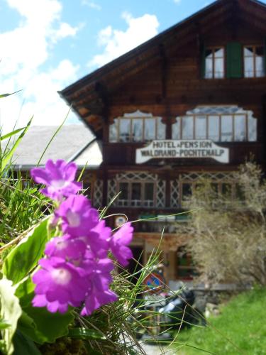 a purple flower in front of a building at Hotel Waldrand in Kiental