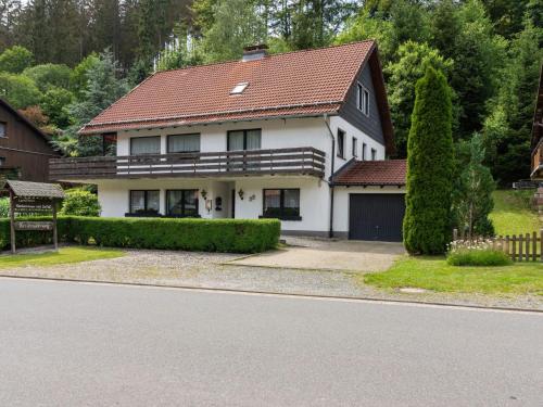 KamschlackenにあるNice apartment with balconyの赤屋根の大白屋敷