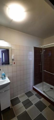 a bathroom with a shower and a sink at Noclegi-Zajazd"Mieszko" in Tarnobrzeg