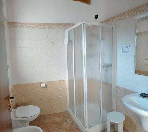 y baño con ducha, aseo y lavamanos. en Hotel Agli Ulivi, en Valeggio sul Mincio