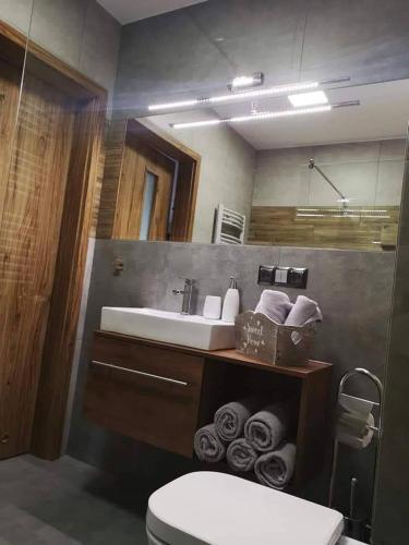 a bathroom with a sink and a toilet at Apartamenty Malinówka pod Śnieżką in Kowary
