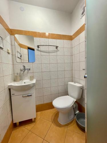 a bathroom with a toilet and a sink at Dom Wczasowy Anna in Rabka-Zdrój