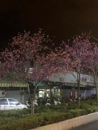 Un jardín fuera de 埔里金宿&車站旁邊