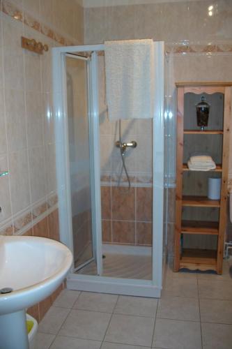 a bathroom with a shower and a sink at La Cochetière in Cheviré-le-Rouge
