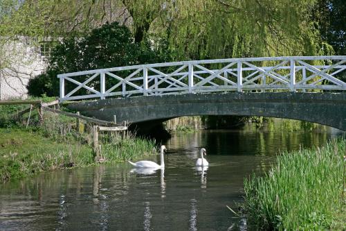 two swans swimming in the water under a bridge at The Old Stables self catering in Salisbury