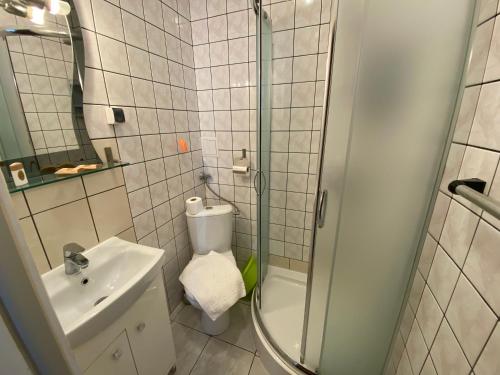 a bathroom with a shower and a toilet and a sink at Rusałka in Zakopane