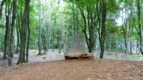 a stone bench in the middle of a forest at B&B Haere Mai in Loker