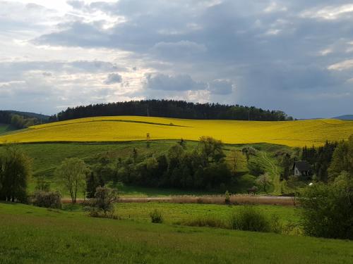 Příroda nedaleko hotelu
