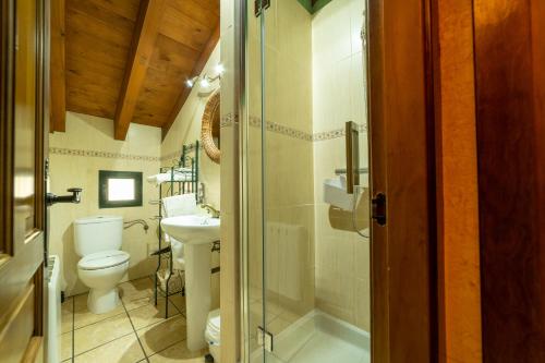 een badkamer met een toilet, een wastafel en een douche bij El Mirador del Alberche III in Navaluenga