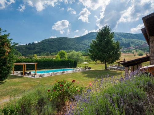 a garden with a pool and mountains in the background at Holiday Home La Fenice by Interhome in Vitoio