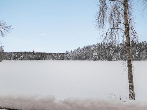 Juhanala的住宿－Holiday Home Lepikko by Interhome，雪覆盖的湖,后面有树