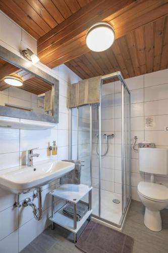 a bathroom with a shower and a sink and a toilet at Pension Bauernhof Baumgartner Stanahof in Fresach