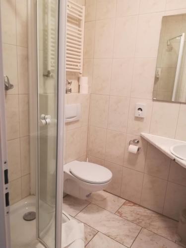 a bathroom with a toilet and a shower and a sink at Hotel Schlossgarten in Gladenbach