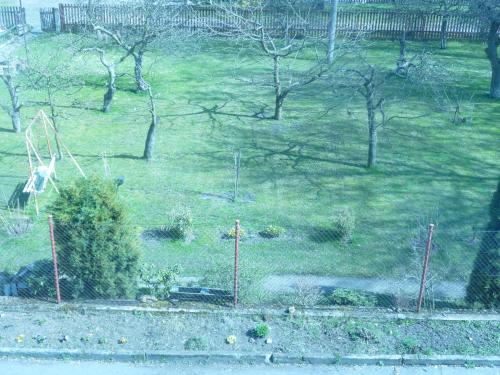 a view of a field of grass with trees at Apartment Karlovy Vary in Karlovy Vary