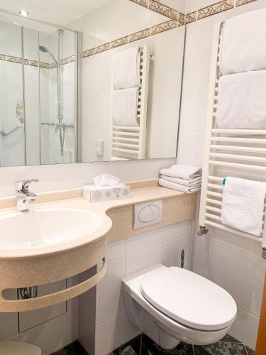 a bathroom with a sink and a toilet and a mirror at Landhotel Bauernschmitt in Pottenstein