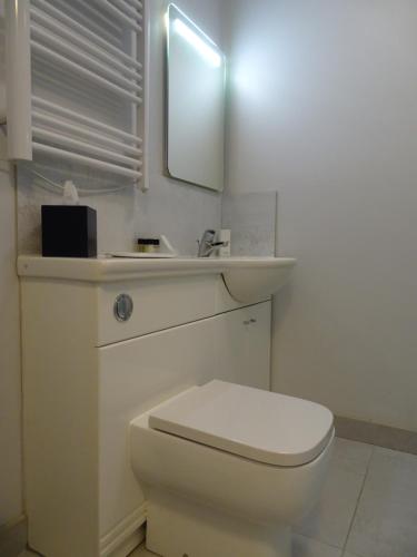 a bathroom with a white toilet and a mirror at The Beeches Hotel & Leisure Club in Nottingham