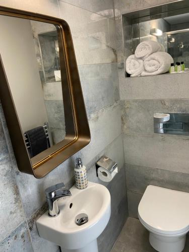 a bathroom with a sink and a toilet and a mirror at Furzeleigh Mill Inn in Buckfastleigh