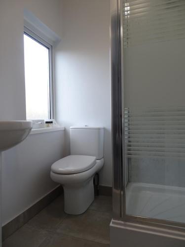 a bathroom with a toilet and a window and a shower at The Beeches Hotel & Leisure Club in Nottingham