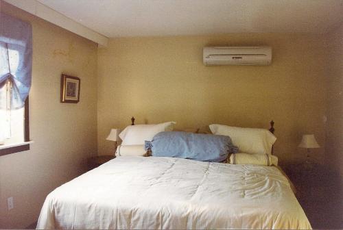 Tempat tidur dalam kamar di Linden Homestead