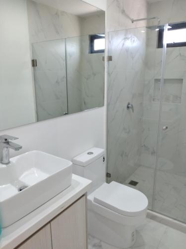 a bathroom with a sink and a toilet and a shower at Venecia 262 in Puerto Vallarta