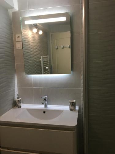 a bathroom with a sink and a mirror at Gîte Évasion idyllique in Faverolles-sur-Cher