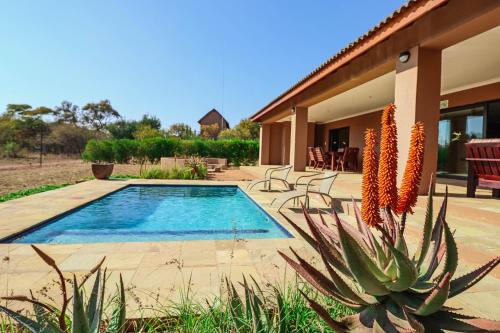 Bazén v ubytování Golden Impalas Bush Resort nebo v jeho okolí
