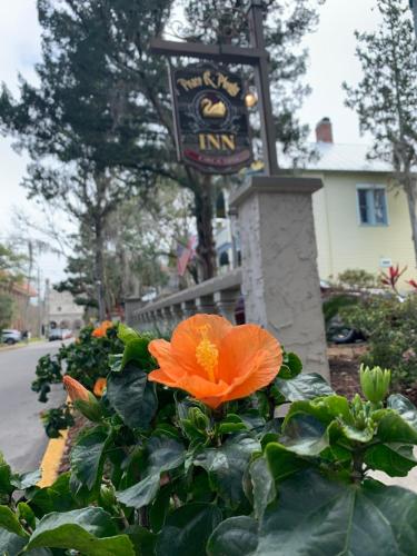 an orange flower in front of a inn sign at Peace & Plenty Inn Bed and Breakfast Downtown St Augustine-Adults Only in Saint Augustine