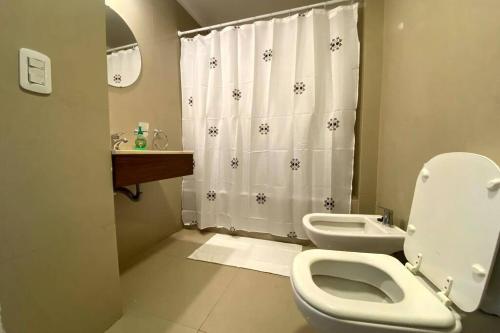 y baño con aseo y cortina de ducha. en Exclusivo Loft En Recoleta Zona Clinicas Y Avenidas en Buenos Aires