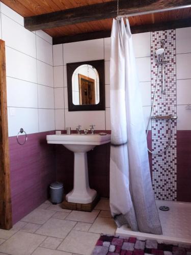 une salle de bain avec un lavabo et une douche dans l'établissement Aux 3 marteaux, à Soppe-le-Haut
