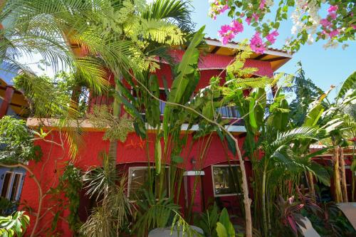 Jardin de l'établissement Conchal Hotel