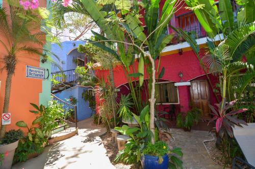 Jardin de l'établissement Conchal Hotel