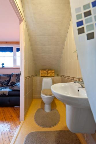 a bathroom with a toilet and a sink at Karklės Villa - Prie Jūros in Karklė