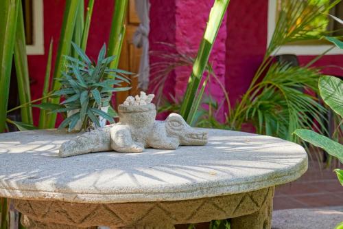 Jardin de l'établissement Conchal Hotel