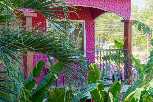 Jardin de l'établissement Conchal Hotel