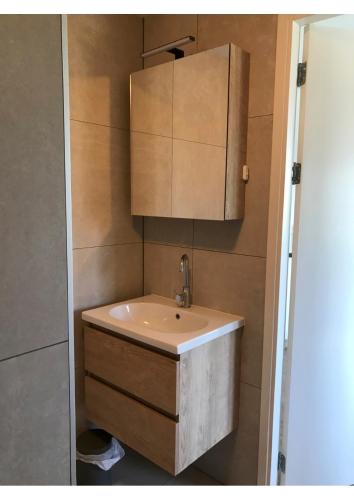 a bathroom with a sink and a cabinet at B&B De Spiegel - Genieten van rust en ruimte in Cothen