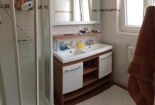 y baño con lavabo y ducha. en Ferienwohnung Schaap-Müller, en Andermatt